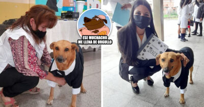 “Jason”, el perrito callejero de Argentina que fue premiado por su asistencia perfecta a la escuela