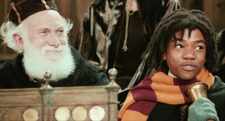 Hombre con canas ;13 Detalles de Harry Potter que solo un muggle no ha notado 
