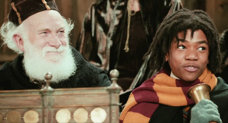 Man With Gray Hair ;13 Details Of Harry Potter That Only A Muggle Has Not Noticed 