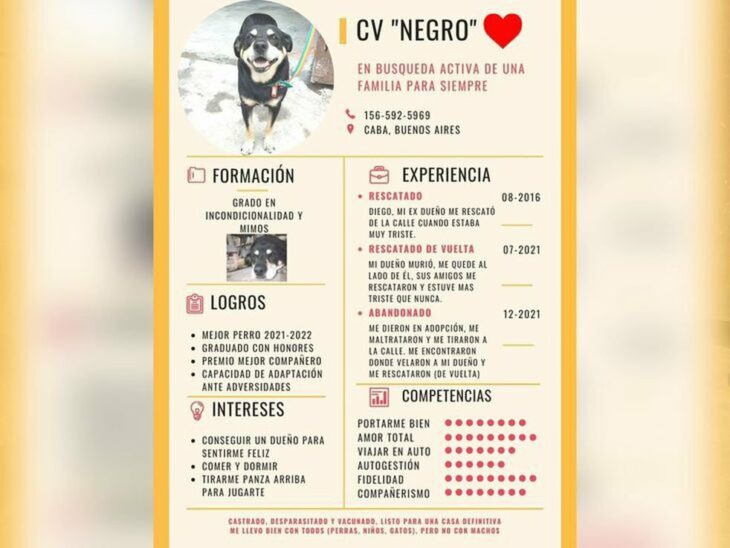 CV Negro 