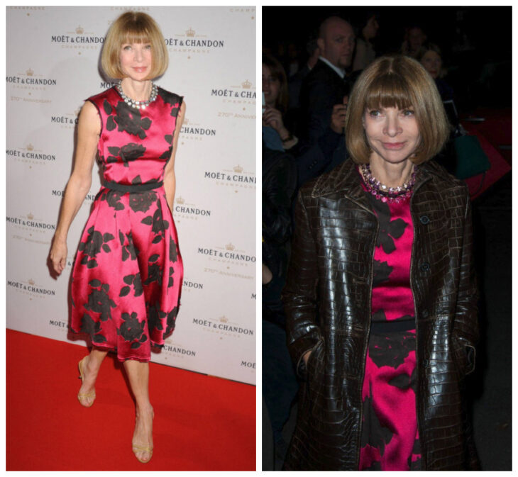 Anna Wintour dress lanvin party moet & chandon show yves saint laurent pfw 2013