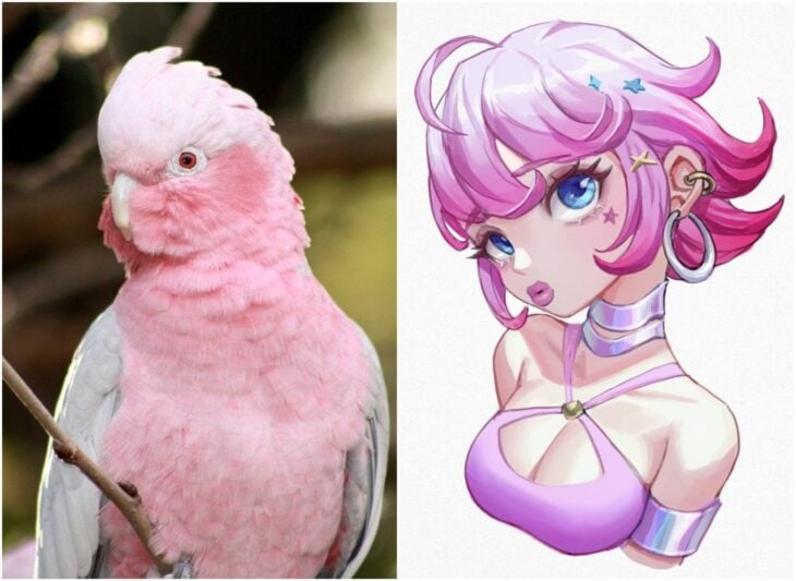 Loro rosa ;Artista transforma animales en personajes de anime y merecen su propio cómic 