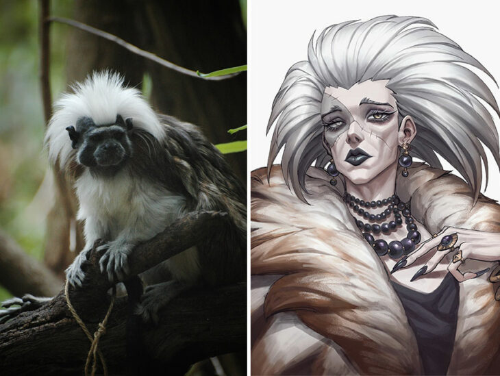 Mono ;Artista transforma animales en personajes de anime y merecen su propio cómic 