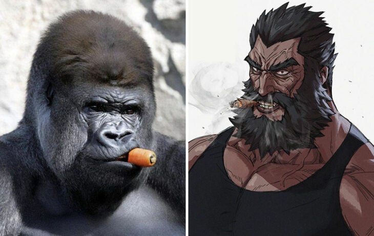 Gorila ;Artista transforma animales en personajes de anime y merecen su propio cómic 