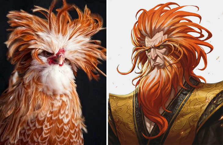 Gallo ;Artista transforma animales en personajes de anime y merecen su propio cómic 