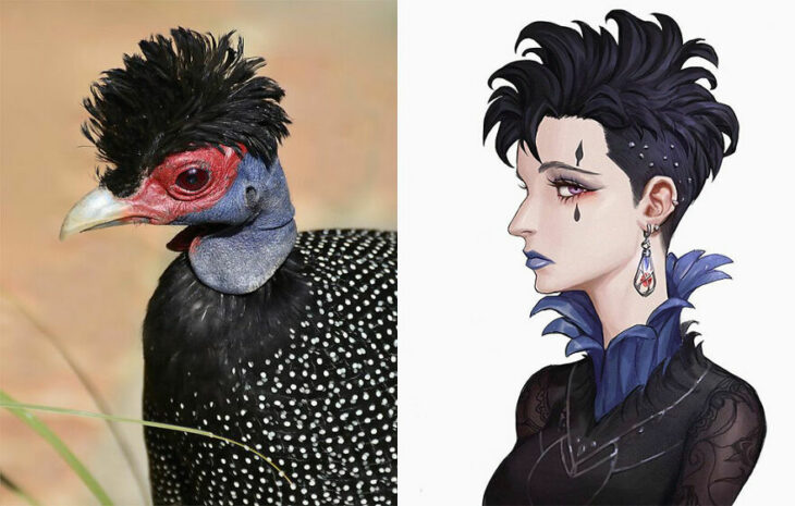 Pavorreal ;Artista transforma animales en personajes de anime y merecen su propio cómic 