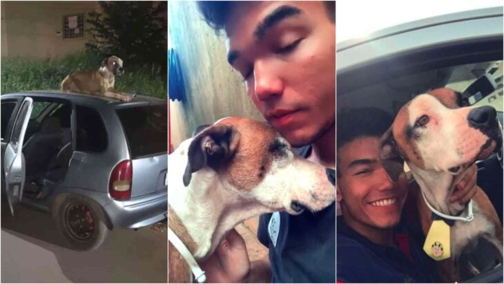Chico abrazando a un perro; Chico adopta a perro callejero que cuidó su auto robado