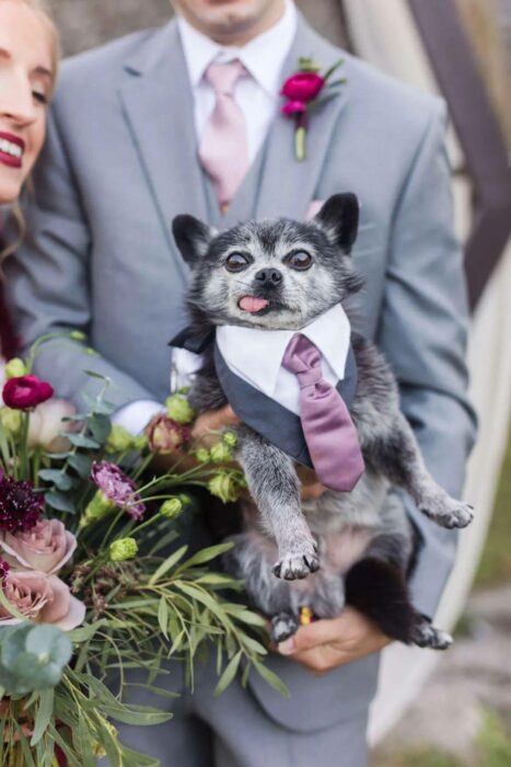 hombre cargando a su perro el día de su boda 