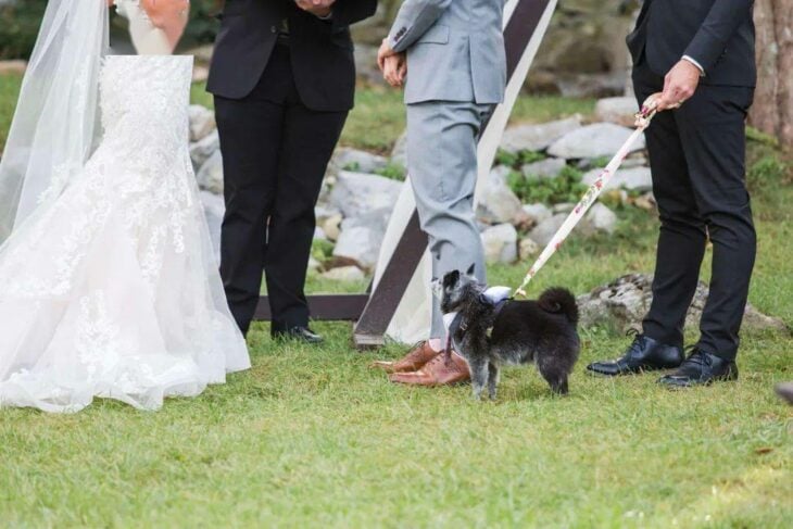 fotografía de un perro sentado a lado de sus amos en el altar de su boda 