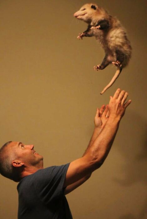 man tossing possum into the air 