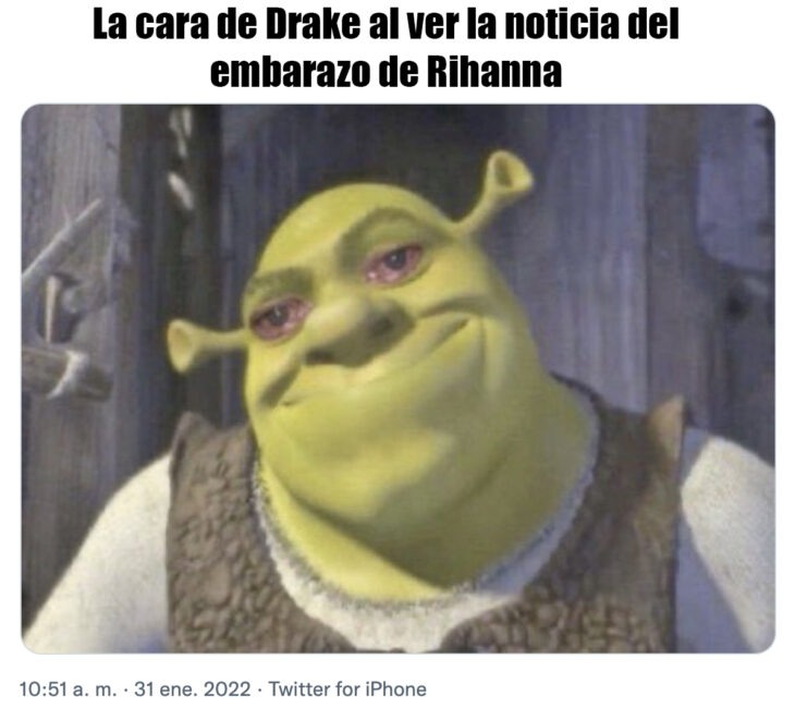 imagen de la cara de Shrek con los ojos llorosos