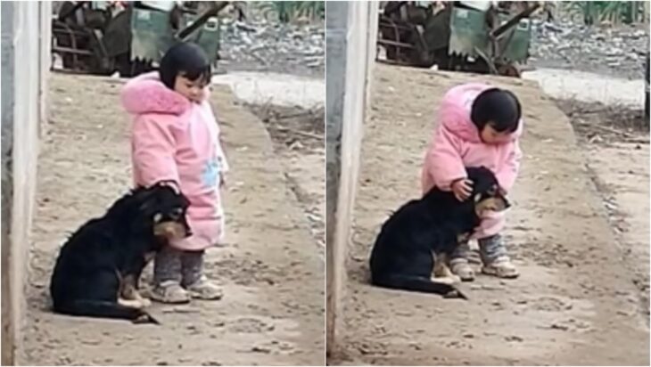 Niña cubre las orejas a su perro durante show de fuegos artificiales