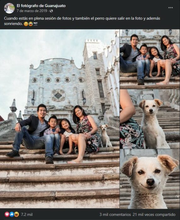 captura de pantalla de una persona que publico una foto de un perro sonriente