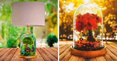 Artista crea hermosos terrarios que son grandes ideas para decorar tu hogar