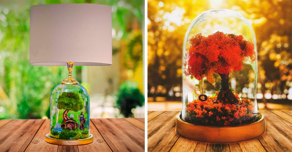 Artist creates beautiful terrariums that are great ideas to decorate your home