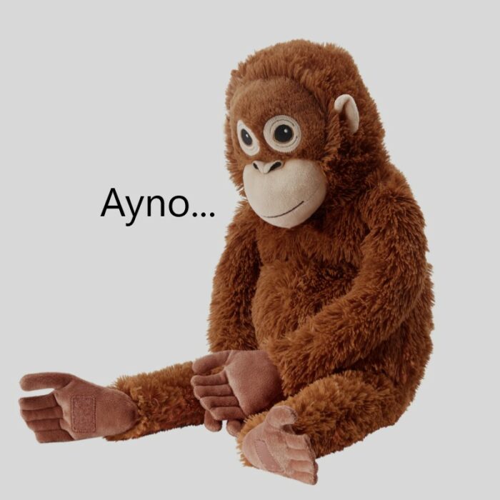 Ayno teddy bear meme...