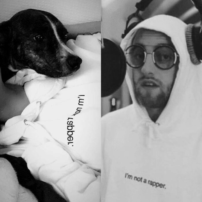 Ariana Grande acompañada su perro y portando la sudadera de Mac Miller