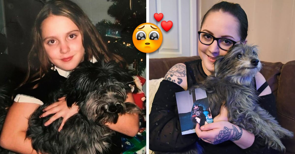 He adopted an old dog and realized that it is the one he lost in his childhood