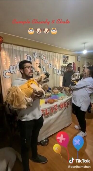 captura de pantalla de un video de una familia que organizó una fiesta a sus perros 