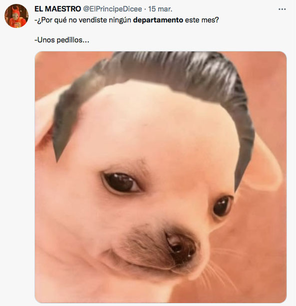 meme of the puppy of some pedillos in how many depas have you sold