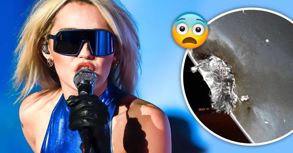 Miley Cyrus makes an emergency landing in Paraguay;  lightning hit the plane