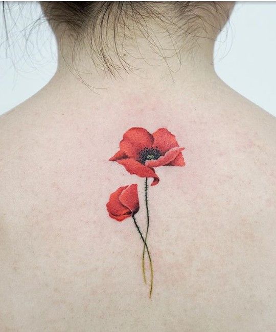 Tatuaje amapola en la espalda ;13 Hermosas ideas para llevar amapolas sobre tu piel 