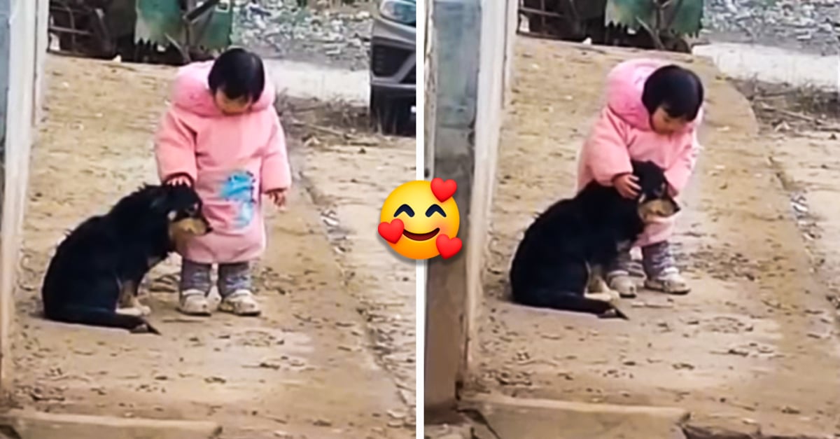Girl Covers Her Dog's Ears During Fireworks Bullfrag
