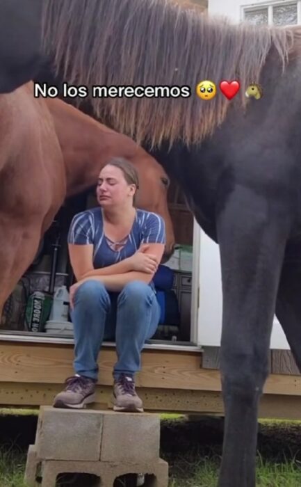 mujer llorando sentada entre dos caballos mientras uno trata de consolarla 