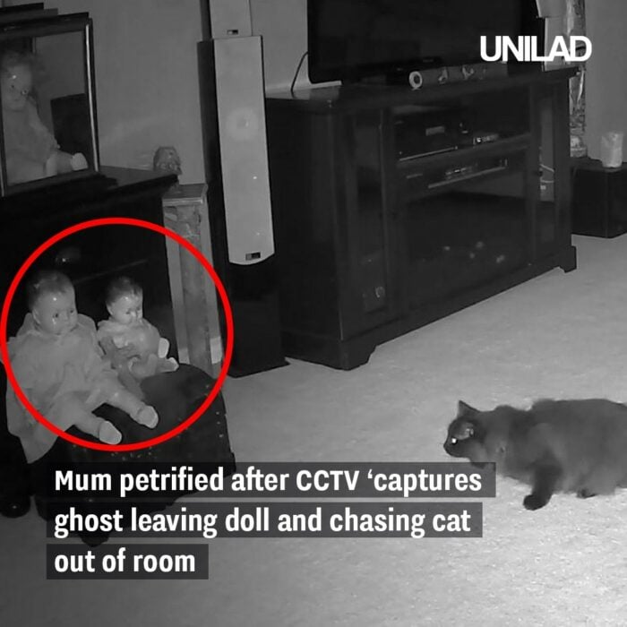 captura de pantalla de un gato que es asustado por un ente que sale de una muñeca 