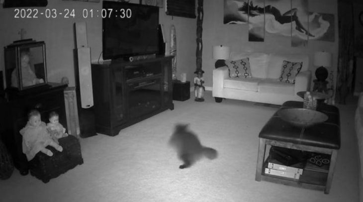 Captura de una cámara de seguridad de una sala de una casa con un gato mirando a un par de muñecas