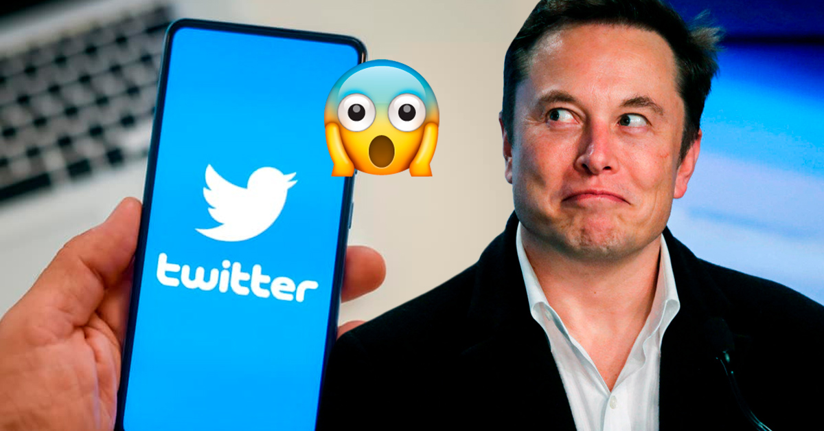 Elon Musk owns 100% of Twitter;  he bought it for 44 billion dollars