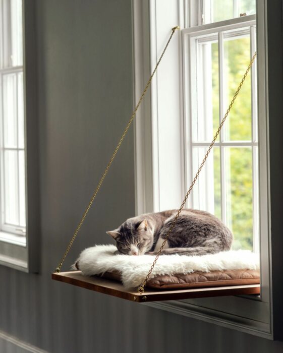 Fotografía de un gato dormido sobre una cama frente a una ventana 