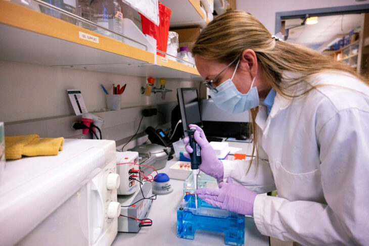 Cardiff University researcher examining T cell