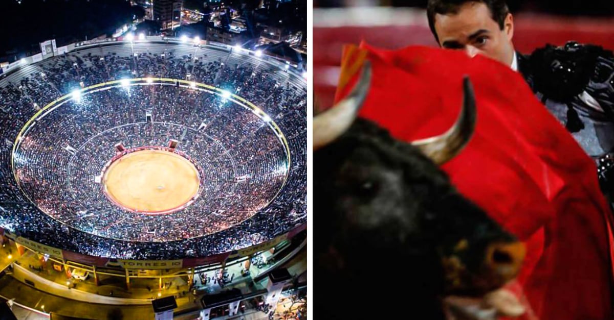 Federal judge provisionally suspends bullfights in Plaza México