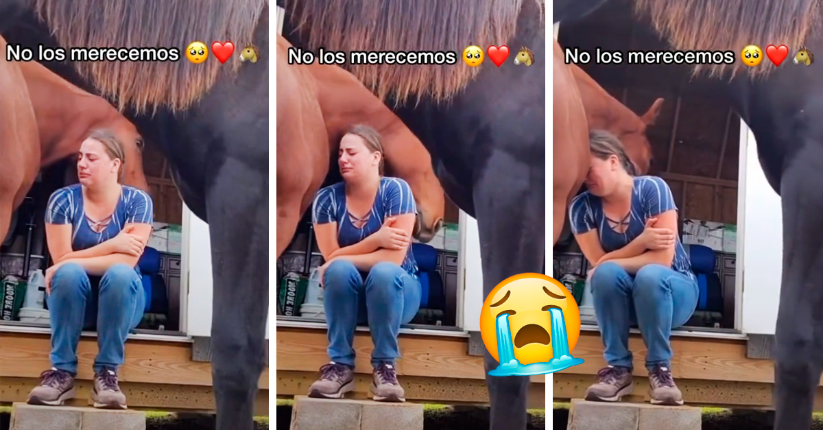 The best support!  Woman cries for her divorce and her horse comforts her