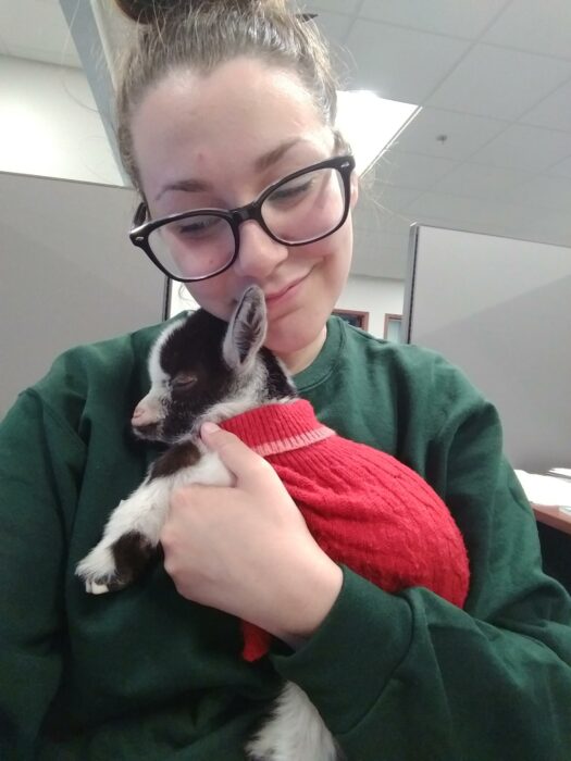 Chica cargando a una cabra bebé en el trabajo