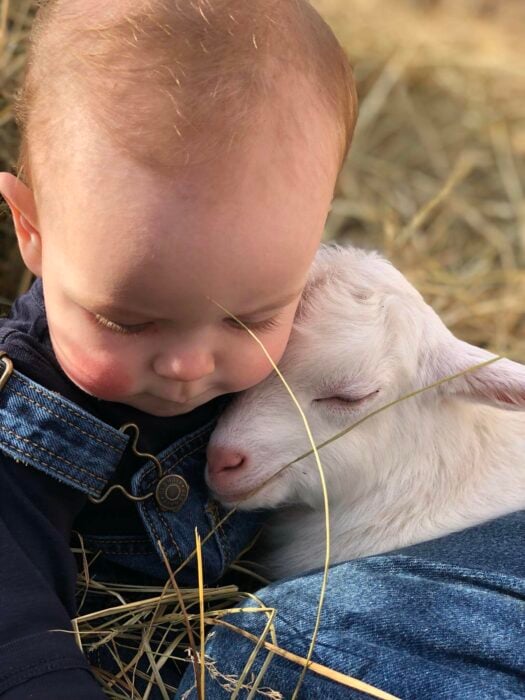 bebé con una cabra dormida en su pecho 