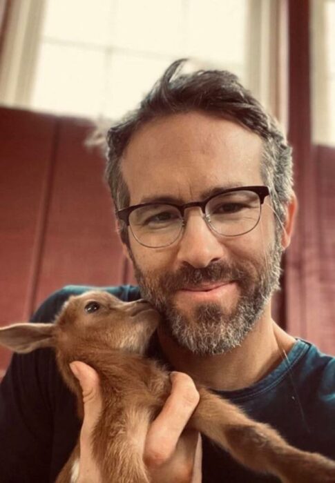 Actor Ryan Reynolds cargando a una cabra bebé de color café 