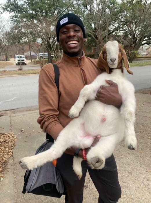 hombre cargando a una cabra en la calle 