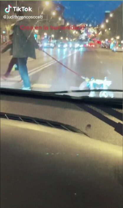 Captura de pantalla de un chico paseando a su perro en silla de ruedas 