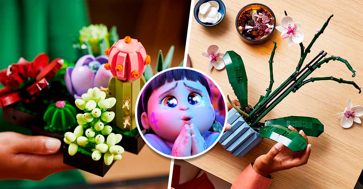 Lego launches a collection of succulents and orchids for plant lovers
