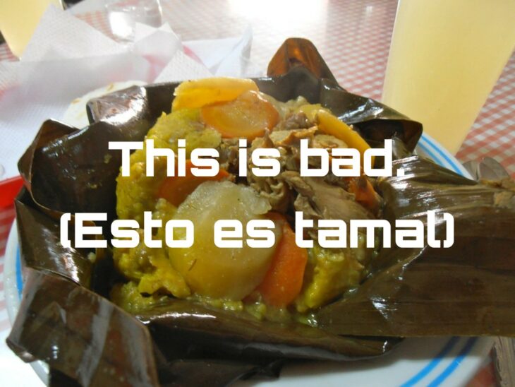 meme image of what appears to be an Oaxacan tamale 