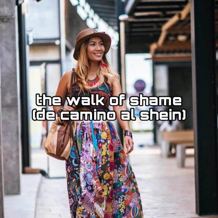 meme of a girl walking with the phrase of a bad translation on the way to the shein 