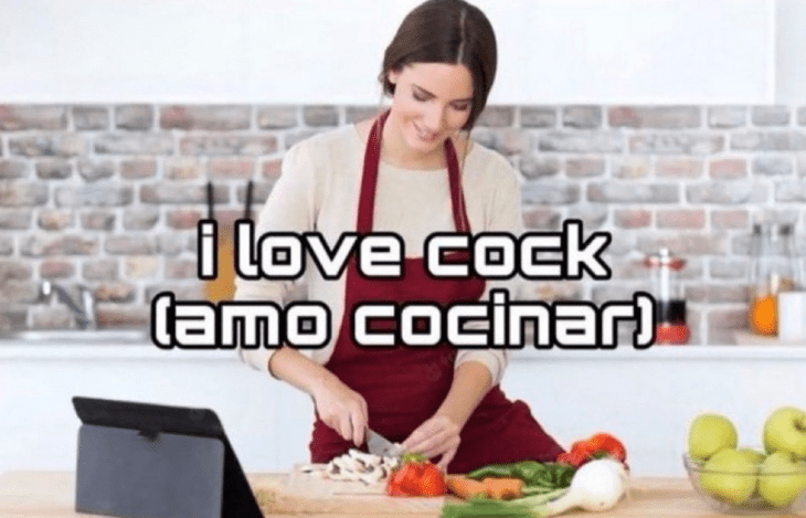 meme of the poorly made translation of I love to cook 