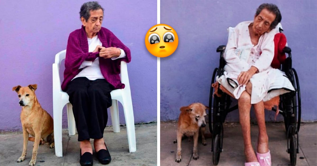 A painful farewell… Puppy grows old with his owner and they say goodbye