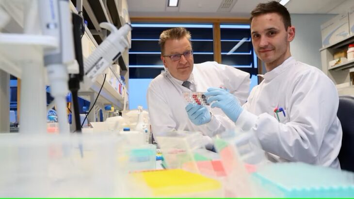 Andrew Sewell and Cardiff University researcher examining T cell