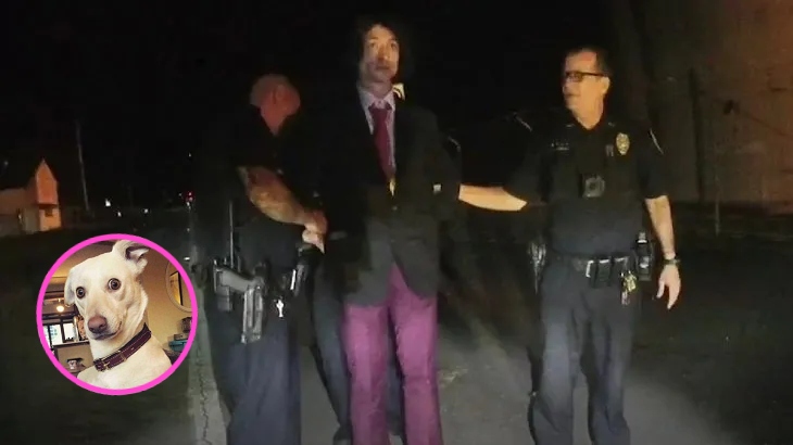 Revelan el video del arresto de Ezra Miller en Hawái