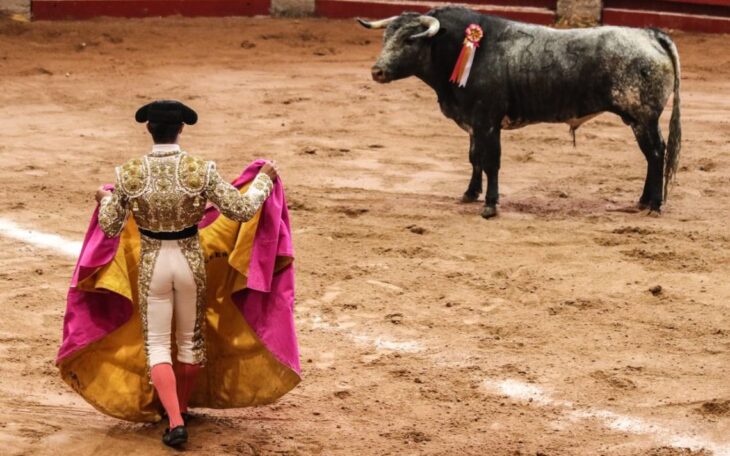 Bullfight in Plaza Mexico