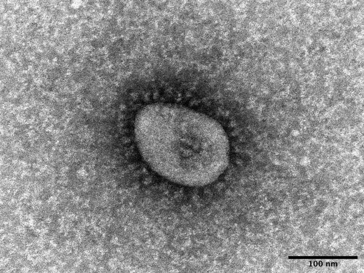 Acute childhood hepatitis