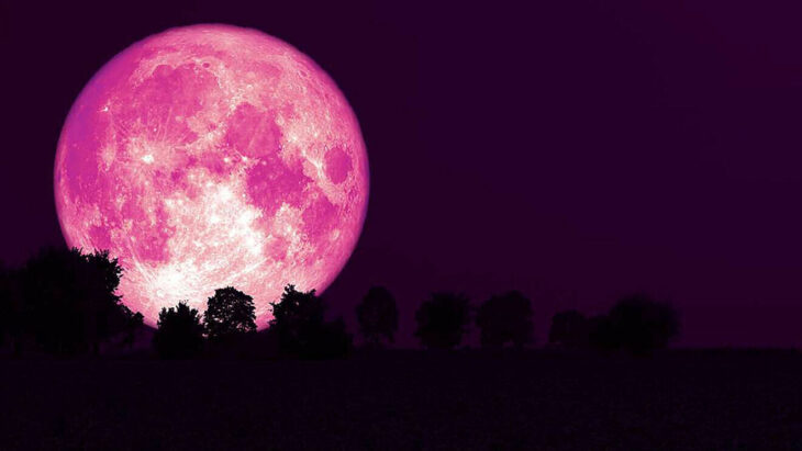 strawberry supermoon